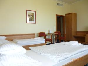 Triple Room room in Hotel Paprika