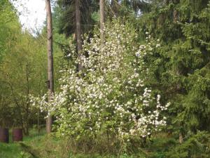 Ferienwohnung Huus ton witten Barg