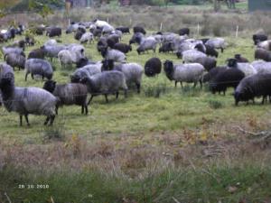 Ferienwohnung Huus ton witten Barg