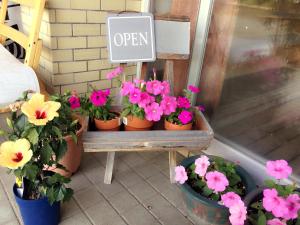 Village Sun Lake Kawaguchiko