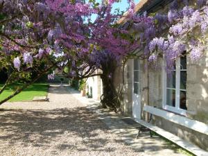 B&B / Chambres d'hotes Le Grand Saint-Marc : photos des chambres