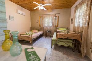 Villa Dimitris Apartments & Bungalows Lefkada Greece