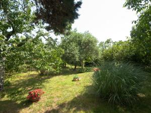 Sea Dream kuća za odmor