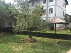 Villa Dede Nikolla