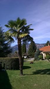 Canigou Lodge photo 18
