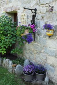 Canigou Lodge photo 6