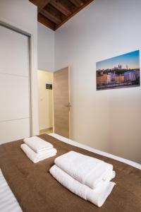 Appartements Lyon Cosy Stay : photos des chambres