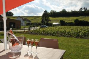 Côté Vignes photo 6