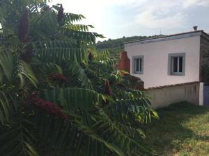 Maisons de vacances La Champillaumiere : photos des chambres