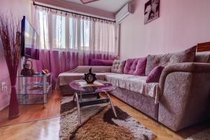 Djurovic Center Apartment