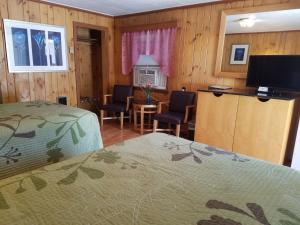 Two Double Bed Cabin room in Seven Dwarfs Cabins - Brown Cabins