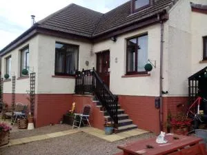 Melrose - 金洛赫利文