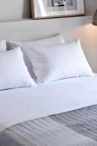 Alia Luxury Apartment Paxoi Greece