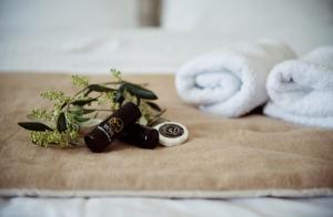 Villa Alisachni Andros