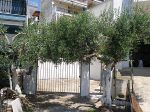 Seaside Villa Halkidiki Greece