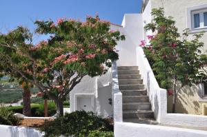 Castri Village Hotel Lasithi Greece