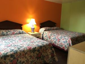 Budget Single Room room in Hollywood Motel