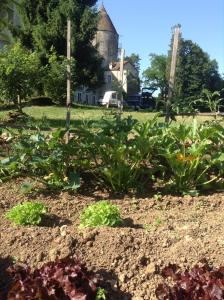 B&B / Chambres d'hotes Chateau de Frasne : photos des chambres