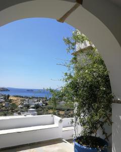 Kionia Panorama Studios Tinos Greece