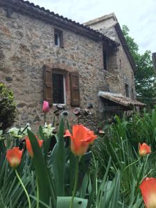 Maisons d'hotes Le Mas Sylva : photos des chambres