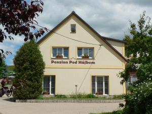 Accommodation in Horní Branná