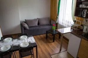 Pokoje U Hanki - 亚沃尔基