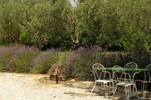 Appartements Residence Le Saint Victor : photos des chambres