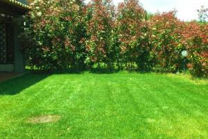 Villa Raffaello img38