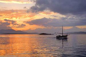 Villa Raffaello img30