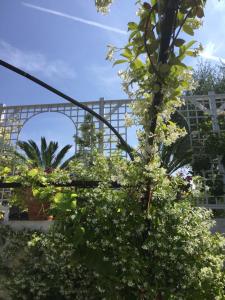 Maisons d'hotes Mas de Provence en Riviera : photos des chambres