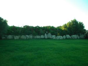 Villa Raffaello img31