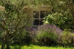 Appartements Residence Le Saint Victor : photos des chambres