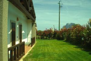 Villa Raffaello img35