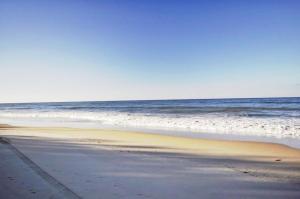 Crystal Waters on The Beach