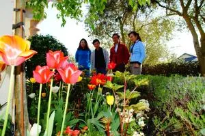 橄榄树住宿加早餐酒店 - Belfast