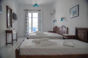 Erato Apartments Andros Greece