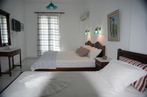 Erato Apartments Andros Greece