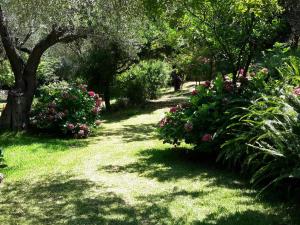 Villa Galini Epirus Greece