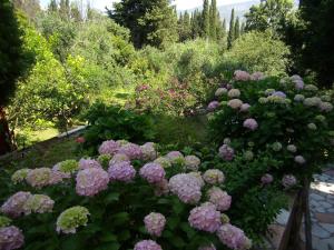 Villa Galini Epirus Greece