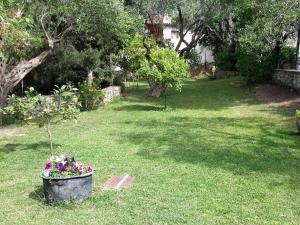 Villa Galini Epirus Greece