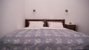 Erato Apartments Andros Greece