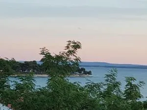 Pansion Marco Polo - 佩特坎内