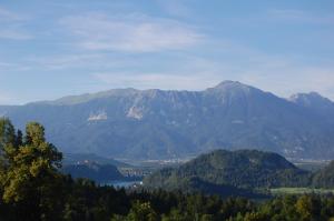 Chalet ApArt Kupljenik 12 A, Bled 