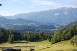 Chalet ApArt Kupljenik 12 A, Bled 