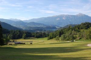 Chalet ApArt Kupljenik 12 A, Bled