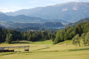 Chalet ApArt Kupljenik 12 A, Bled