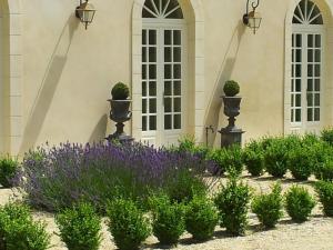 Maisons de vacances L'Orangerie du Grand Jardin : photos des chambres