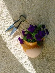 宝月旅馆 - Bastanès