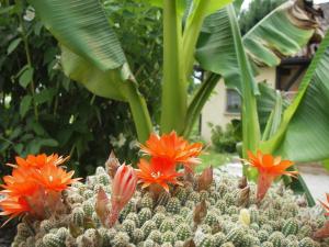 Sejours a la campagne Les 4 Saisons : photos des chambres