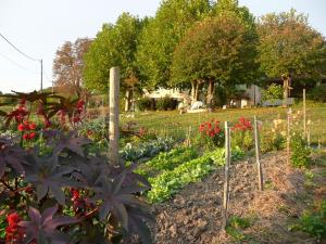 B&B / Chambres d'hotes La Source, Vegetarian Guest House : photos des chambres